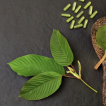 Kratom Knowledge: The Keystones of Responsible Use