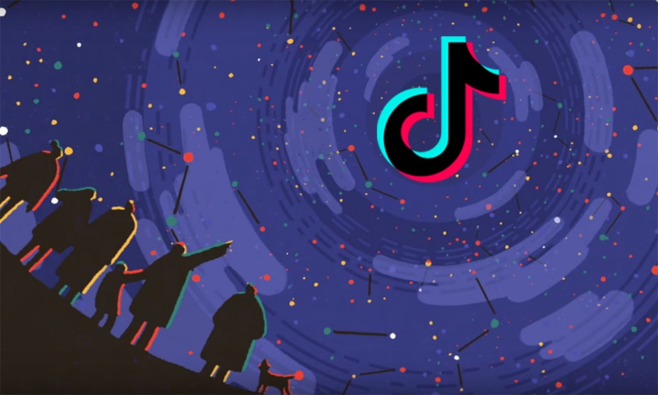 tiktok video downloader
